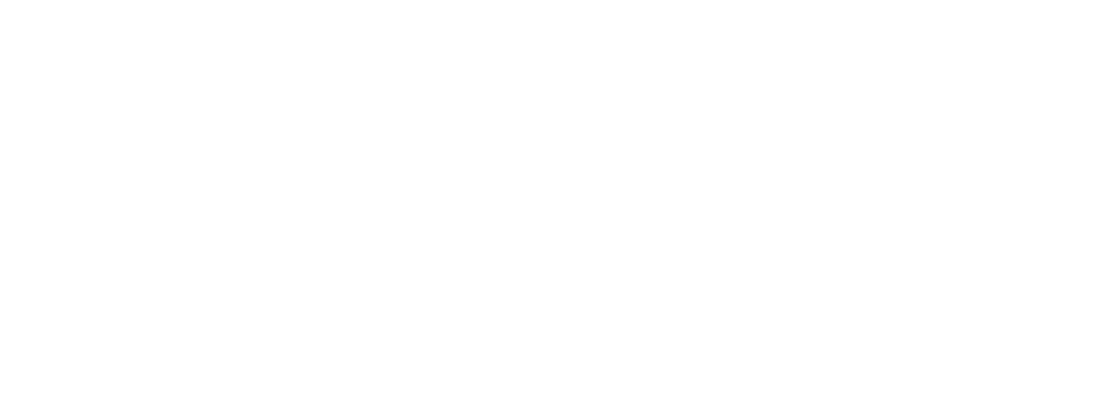 Portfólio